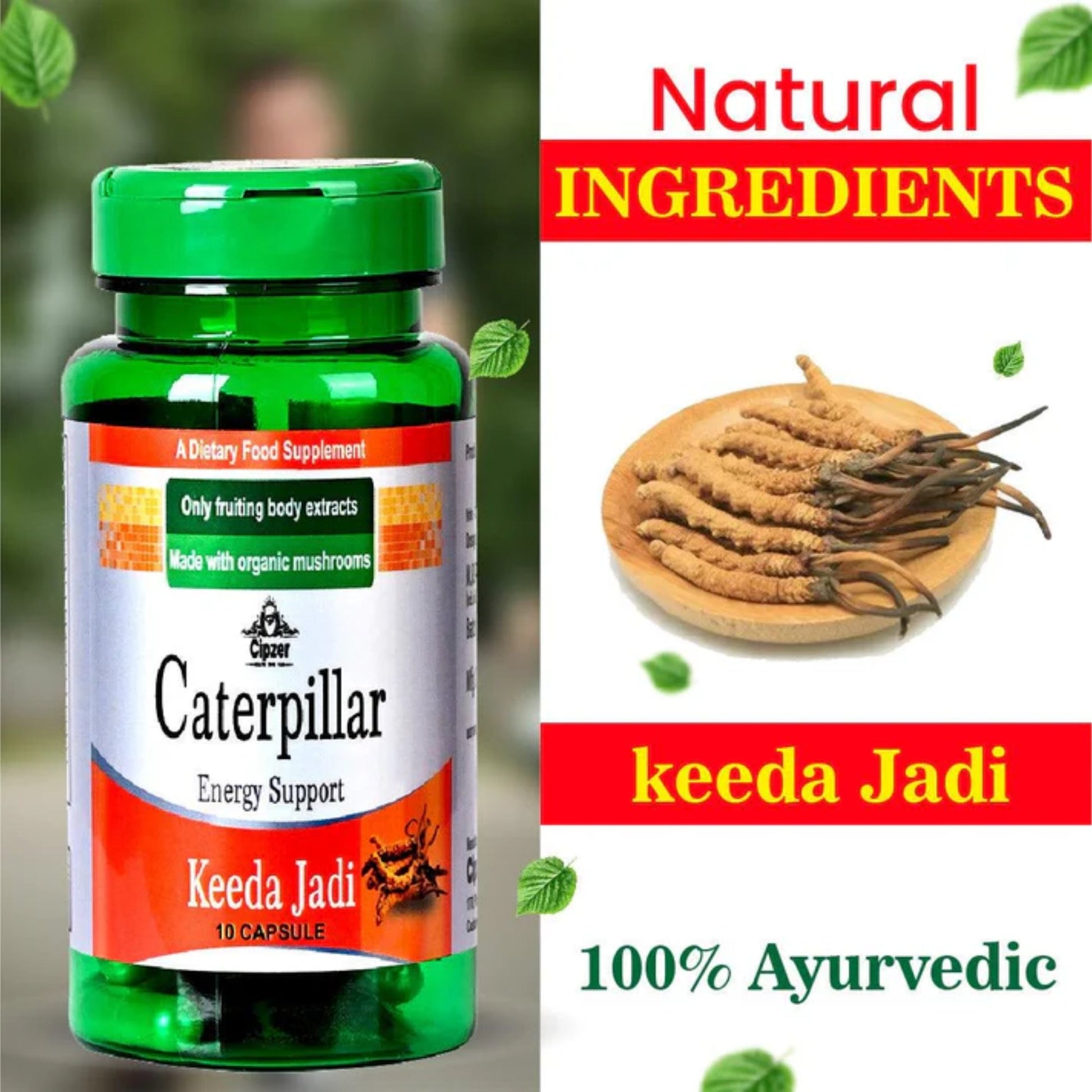 Cipzer Caterpillar Keeda Jadi Capsules 