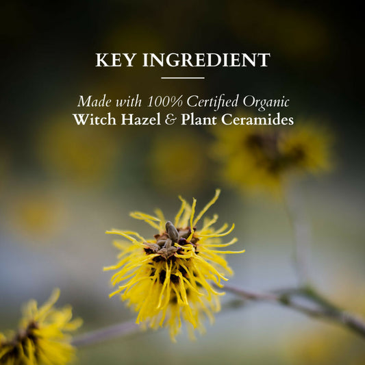 77bcaae806360021422_2