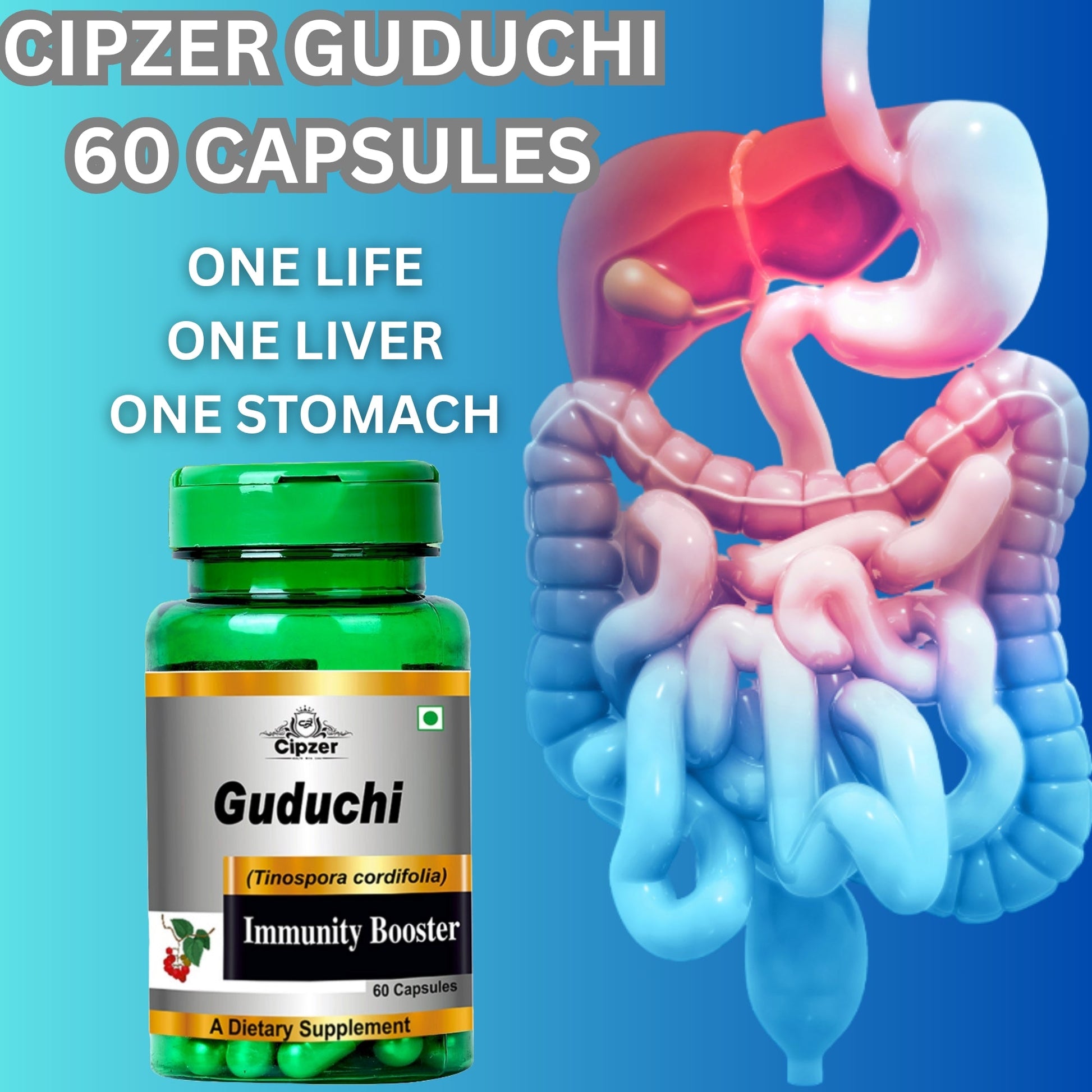 Cipzer Guduchi Capsules 