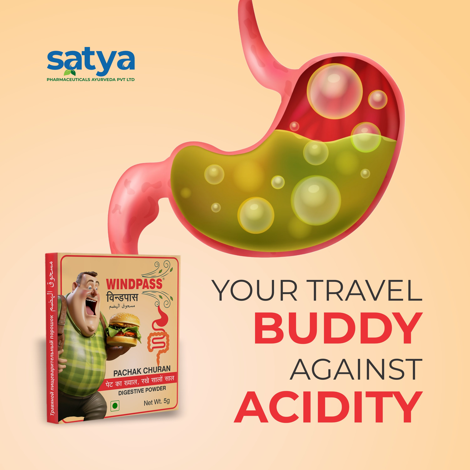 Satya Pharmaceuticals Ayurveda Windpass Pachak Churan Sachet 