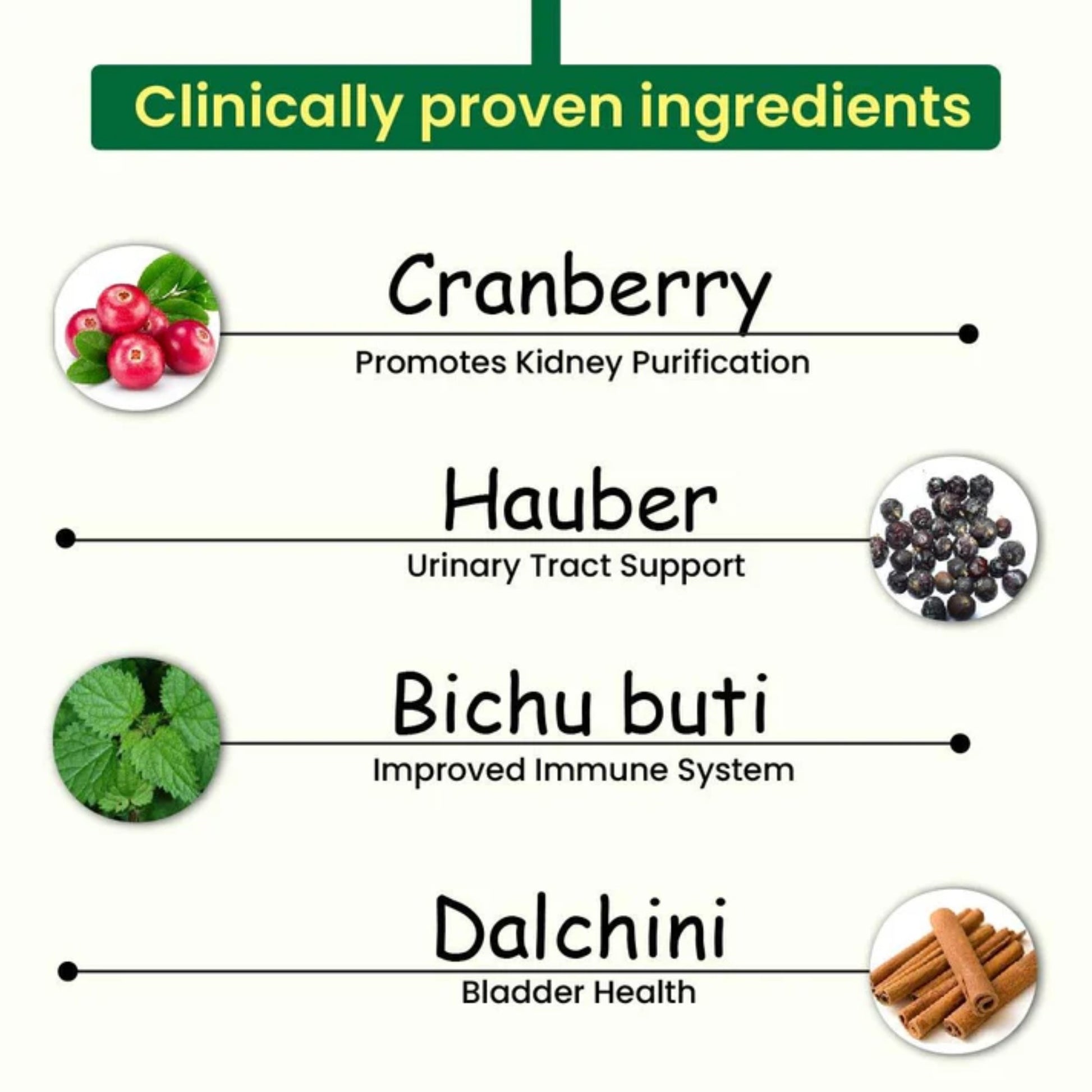 Cipzer Kidney Wellness Capsules 