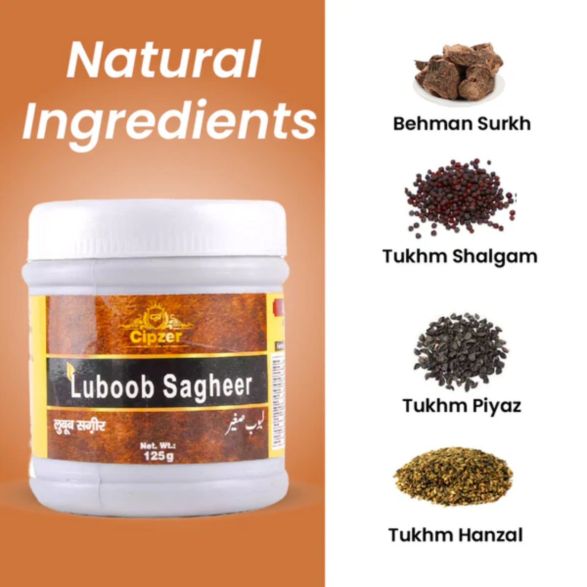 Cipzer Luboob Sagheer 