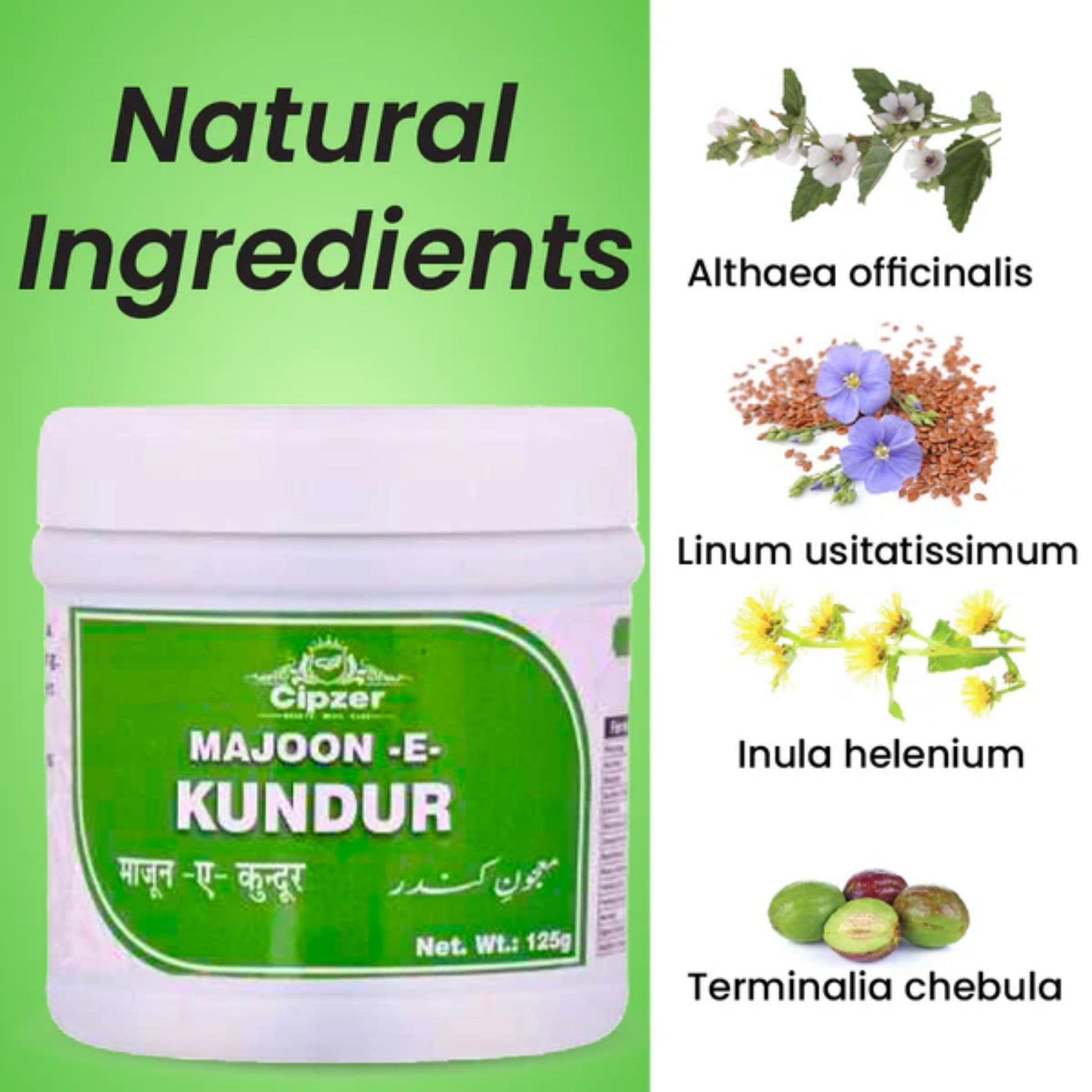 Cipzer Majoon-E-Kundur 