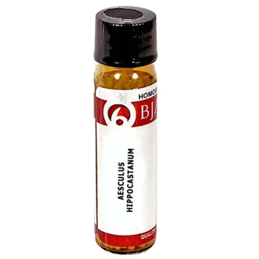 Bjain Homeopathy Aesculus Hippocastanum Globules | Grab2Buy