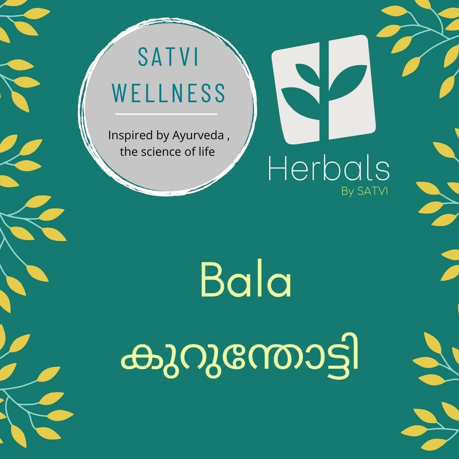 Satvi Wellness Dry Bala / Kurunthoti Chopped 