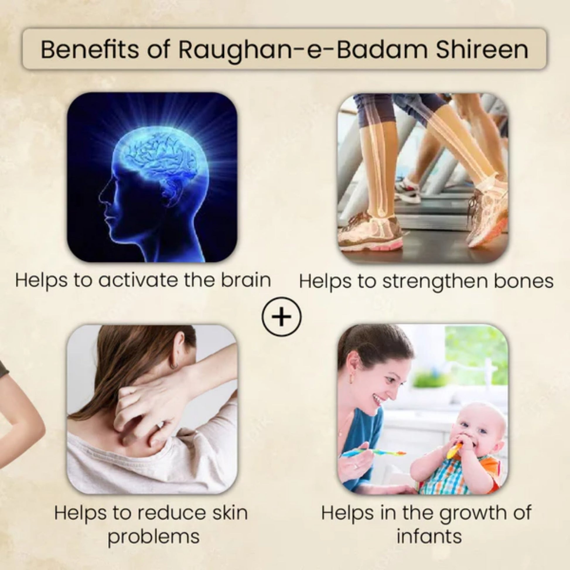 Cipzer Raughan-E-Badam Shireen 