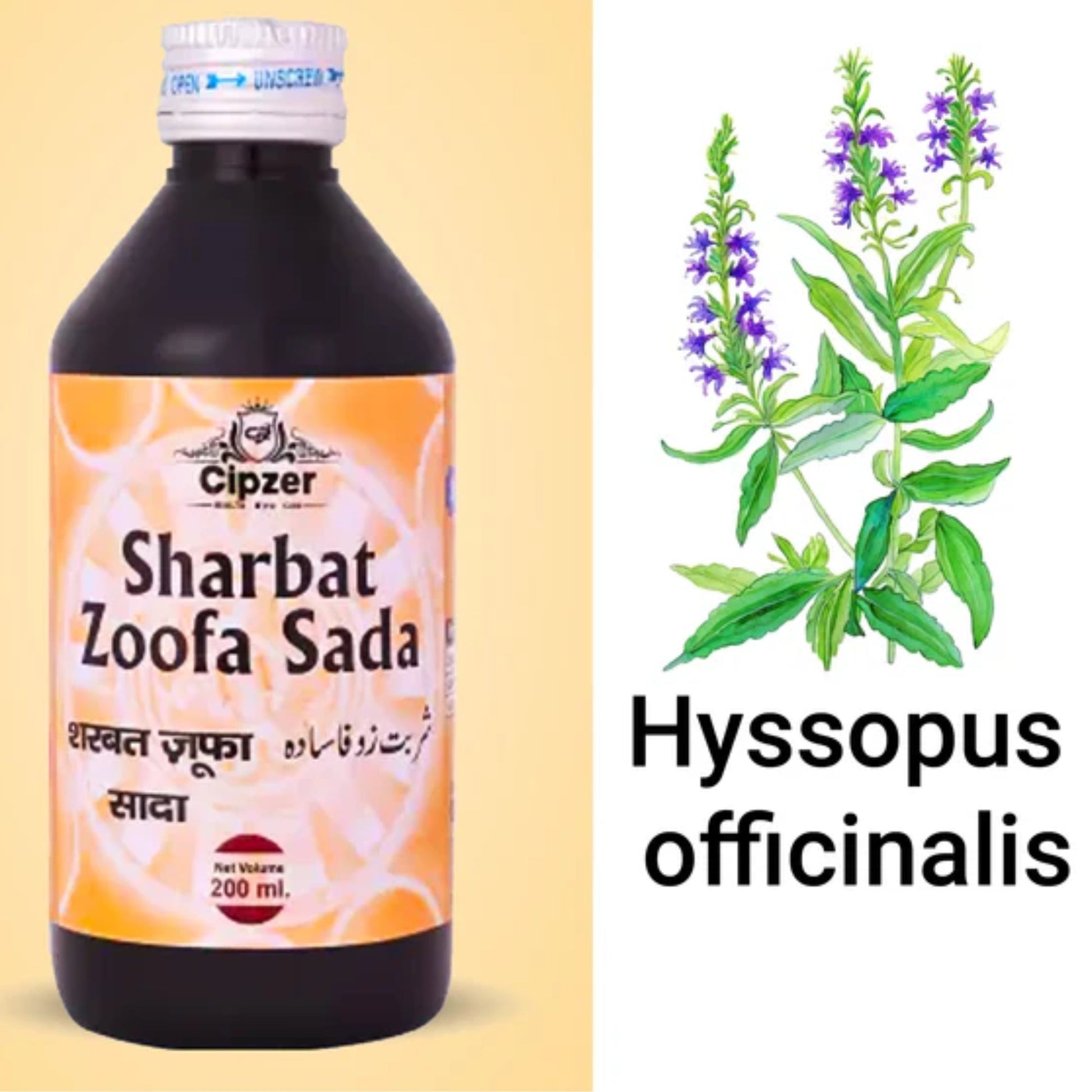 Cipzer Sharbat Zoofa Sada 