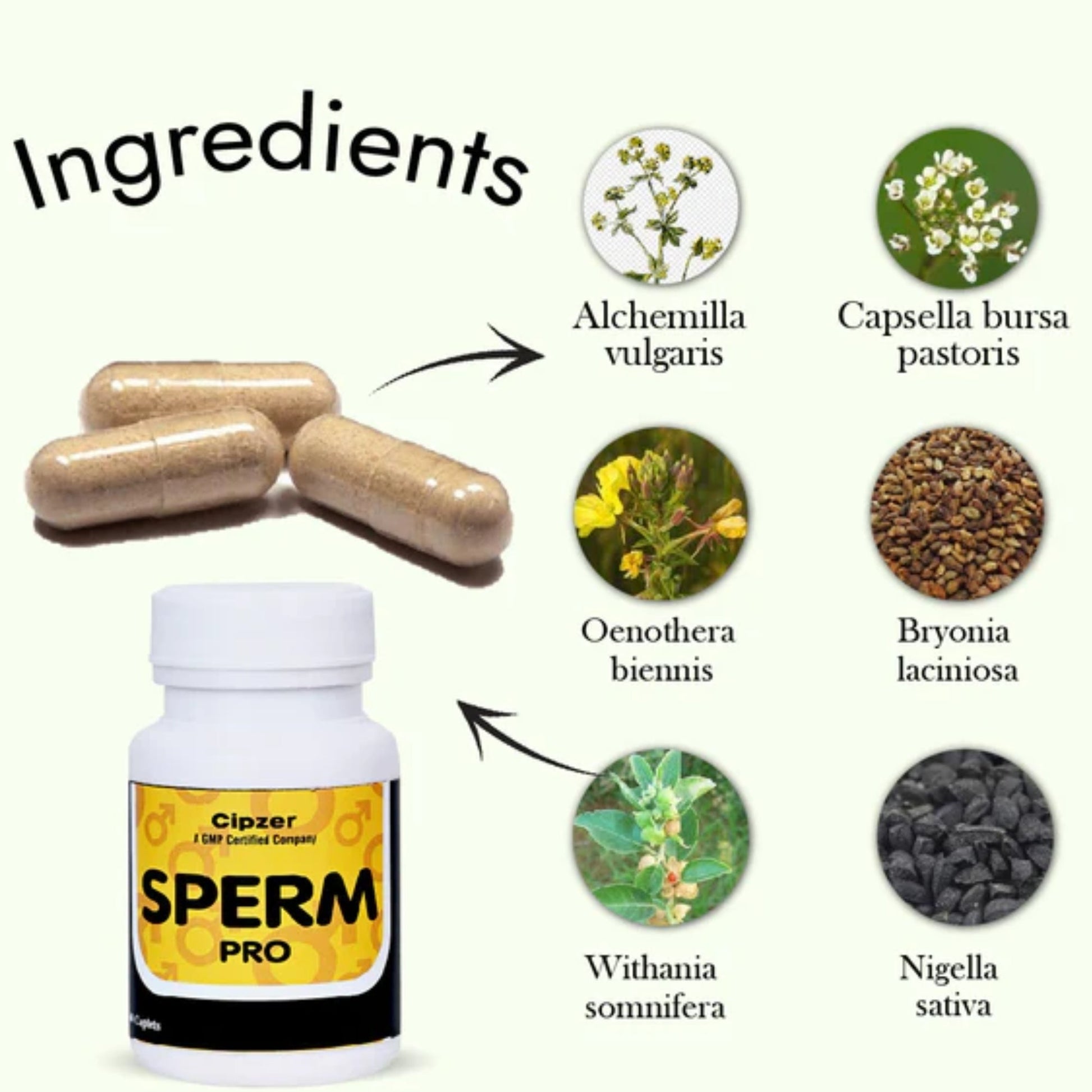 Cipzer Sperm Pro Caplets 