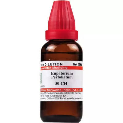 Dr. Willmar Schwabe India Eupatorium Perfoliatum Dilution - Grab2buy