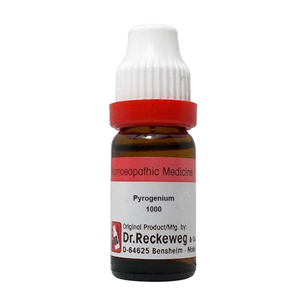Dr. Reckeweg Pyrogenium Dilution 