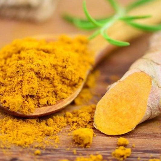 Freshon Turmeric Powder