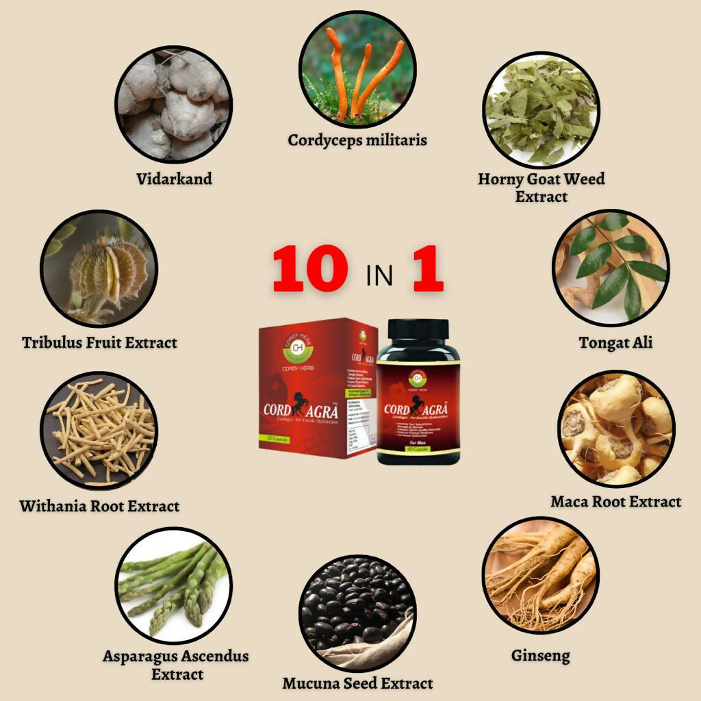 Cordy Herb Mens Sexual Health Supplement Capsules - Grab2buy
