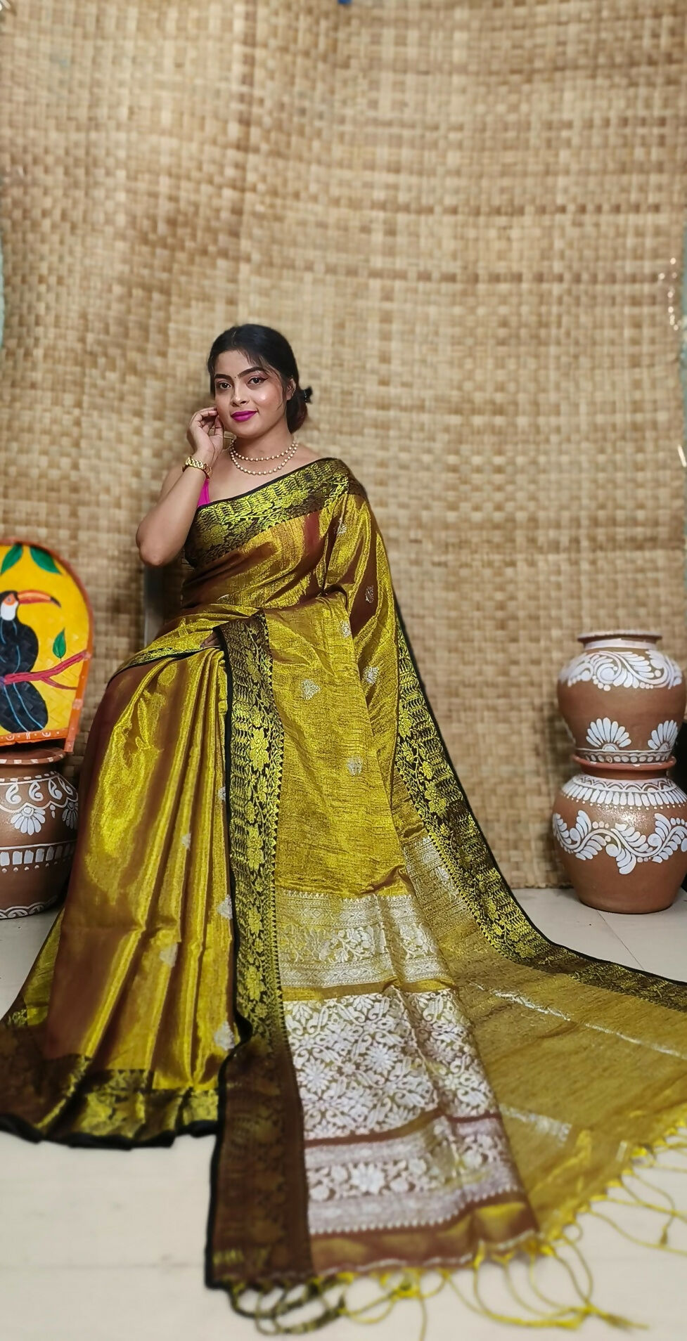 Exclusive Collection Golden Beautiful Tissue Benarasi Grab2Buy 