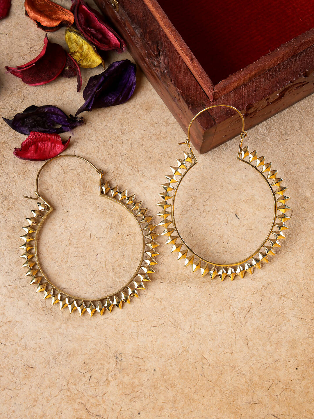 NVR Women Golden Full Circular Hoop Earrings - Grab2buy