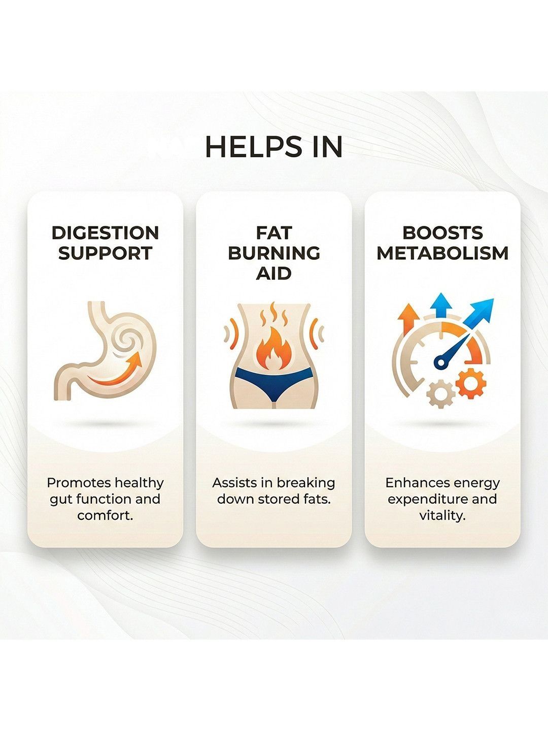 Ved Sanjeevani Digestion & Detox Nabhi Oil  Grab2Buy Ved Sanjeevani Grab2Buy