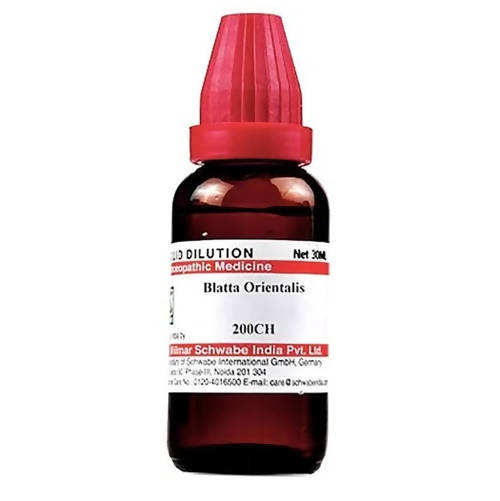 Dr. Willmar Schwabe India Blatta Orientalis Dilution 