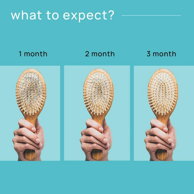 download - 2024-10-29T121156.873