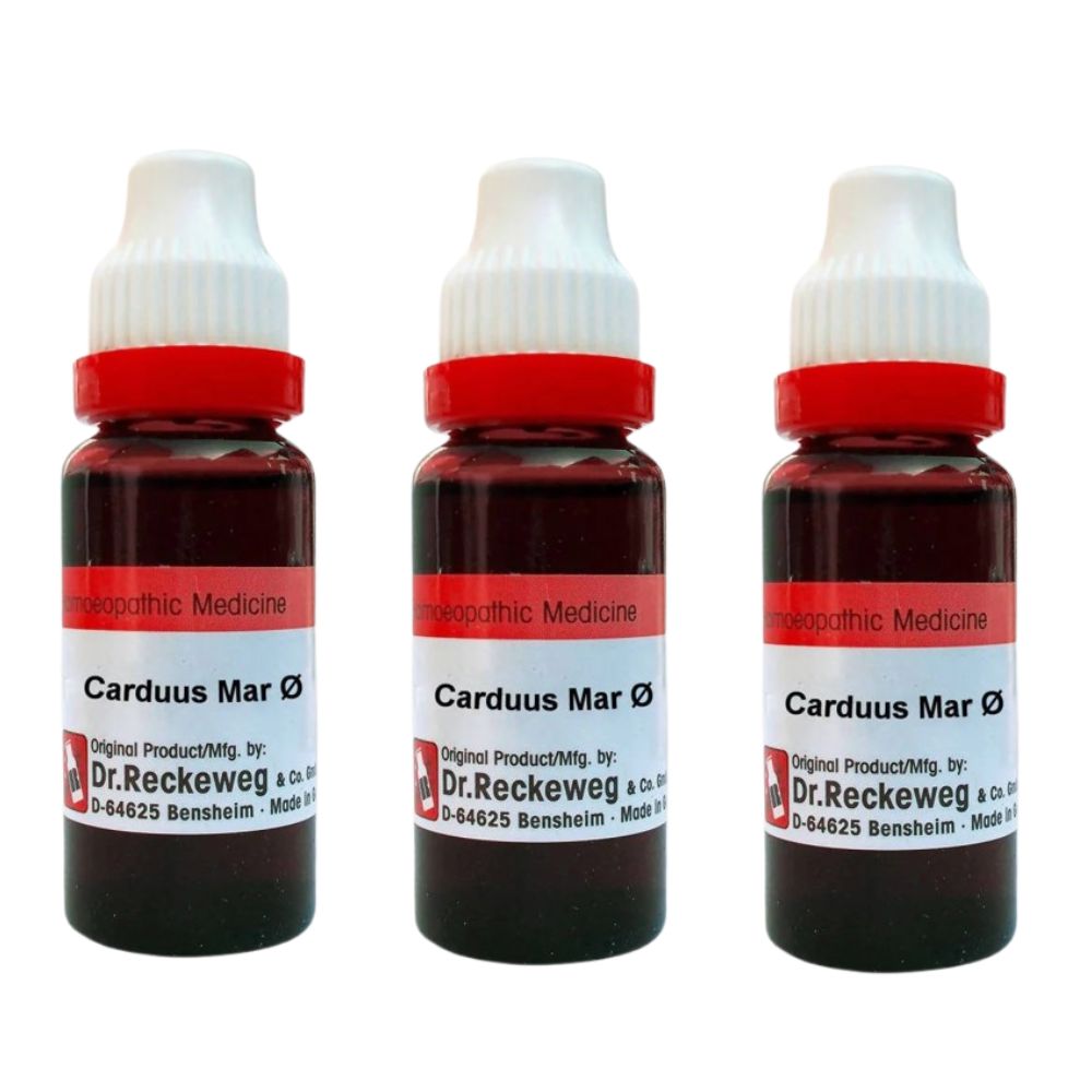 Dr. Reckeweg Carduus Mar Mother Tincture Q 