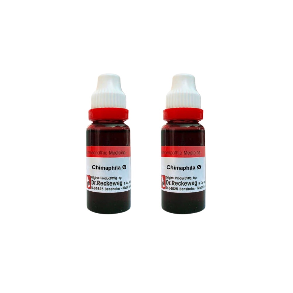 Dr. Reckeweg Chimaphila Mother Tincture Q 