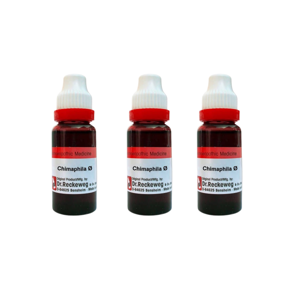 Dr. Reckeweg Chimaphila Mother Tincture Q 