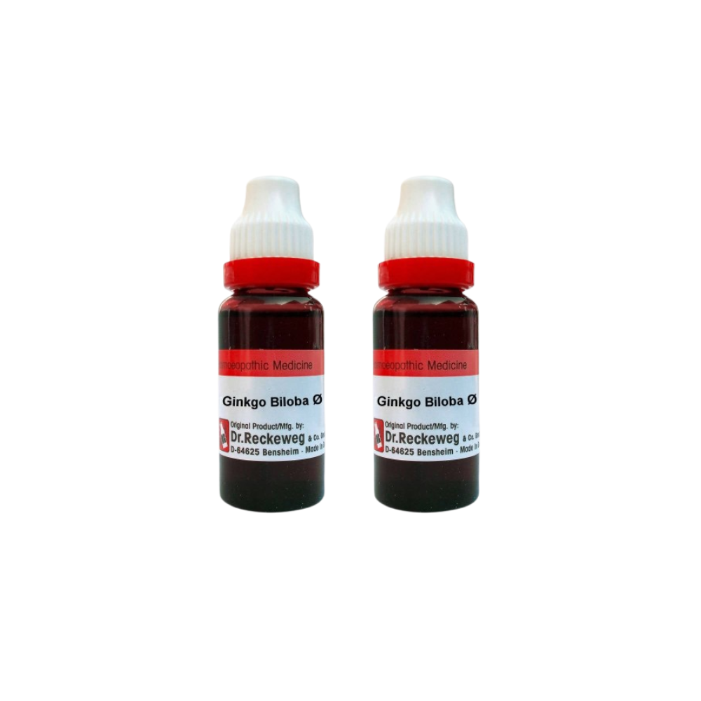 Dr. Reckeweg Ginkgo Biloba Mother Tincture Q 