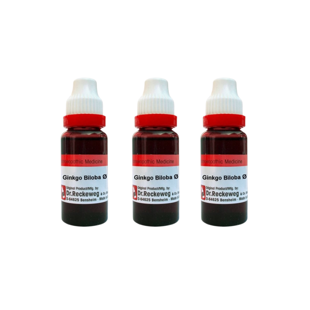 Dr. Reckeweg Ginkgo Biloba Mother Tincture Q 