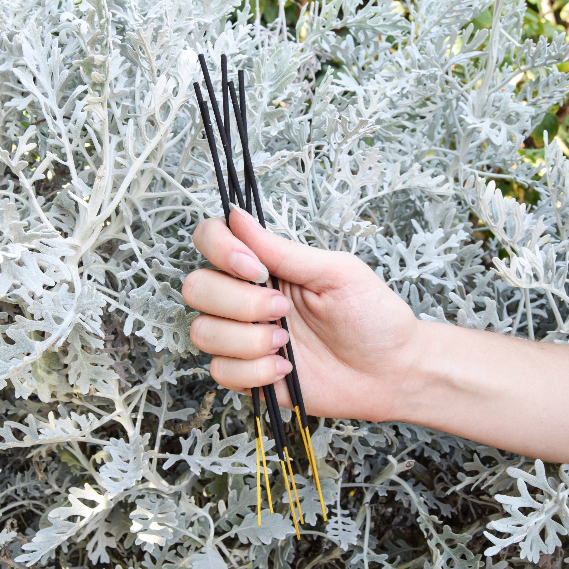UMA Pure Bliss Wellness Incense 