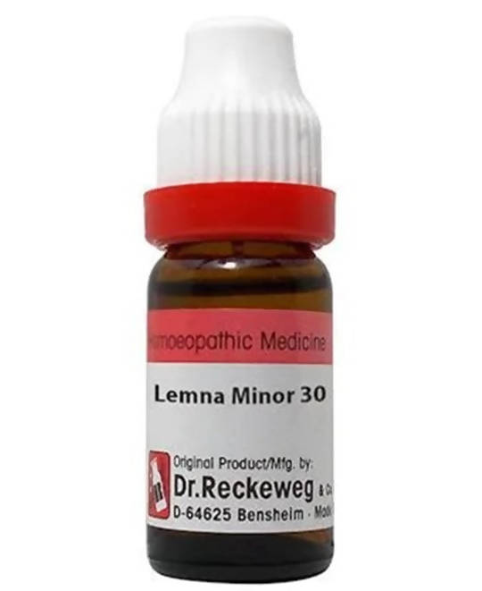 Dr. Reckeweg Lemna Minor Dilution - Grab2buy