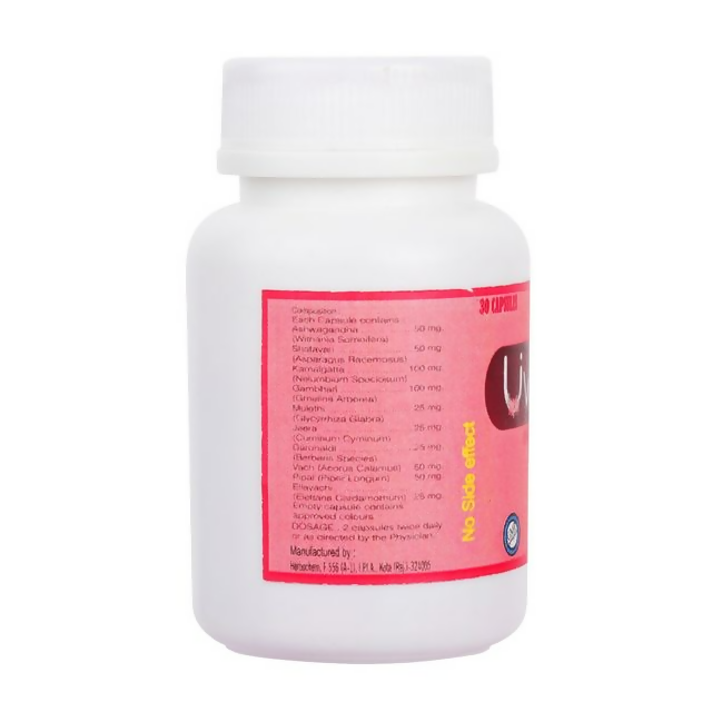 download - 2024-12-12T174606.520