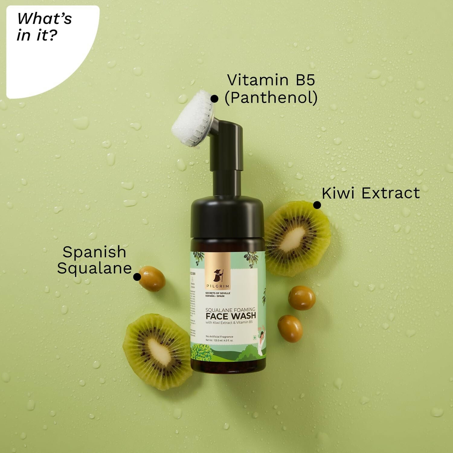 Pilgrim Spanish Foaming Face Wash With Kiwi Extracts & Aloe For Skin Hydration - Grab2buy