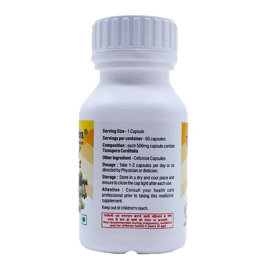 Navchetana Kendra Giloy Extract Capsules - Grab2buy