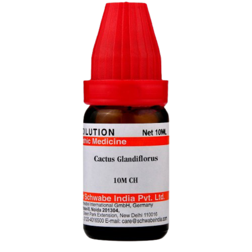 Dr. Willmar Schwabe India Cactus Glandiflorus Dilution 