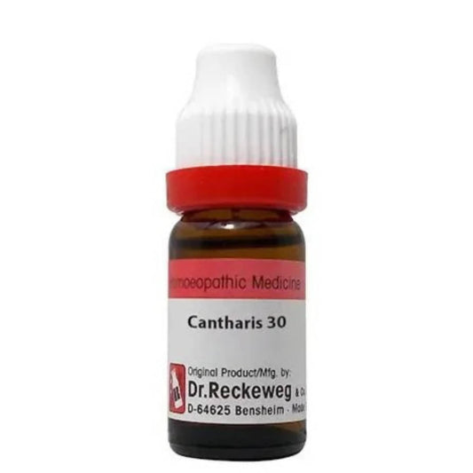 Dr. Reckeweg Cantharis Dilution - Grab2buy