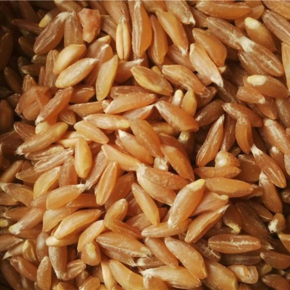 Freshon Jave Wheat Flour