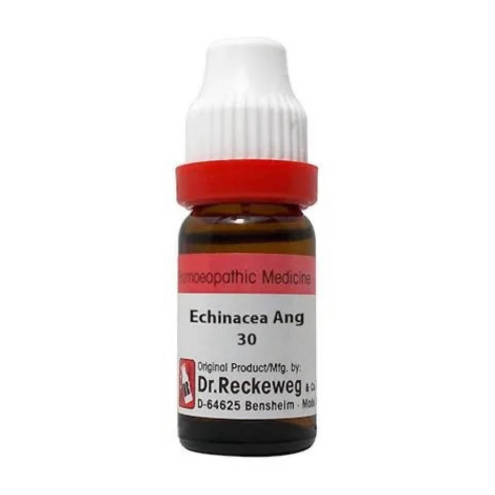 Dr. Reckeweg Echinacea Ang Dilution - Grab2buy