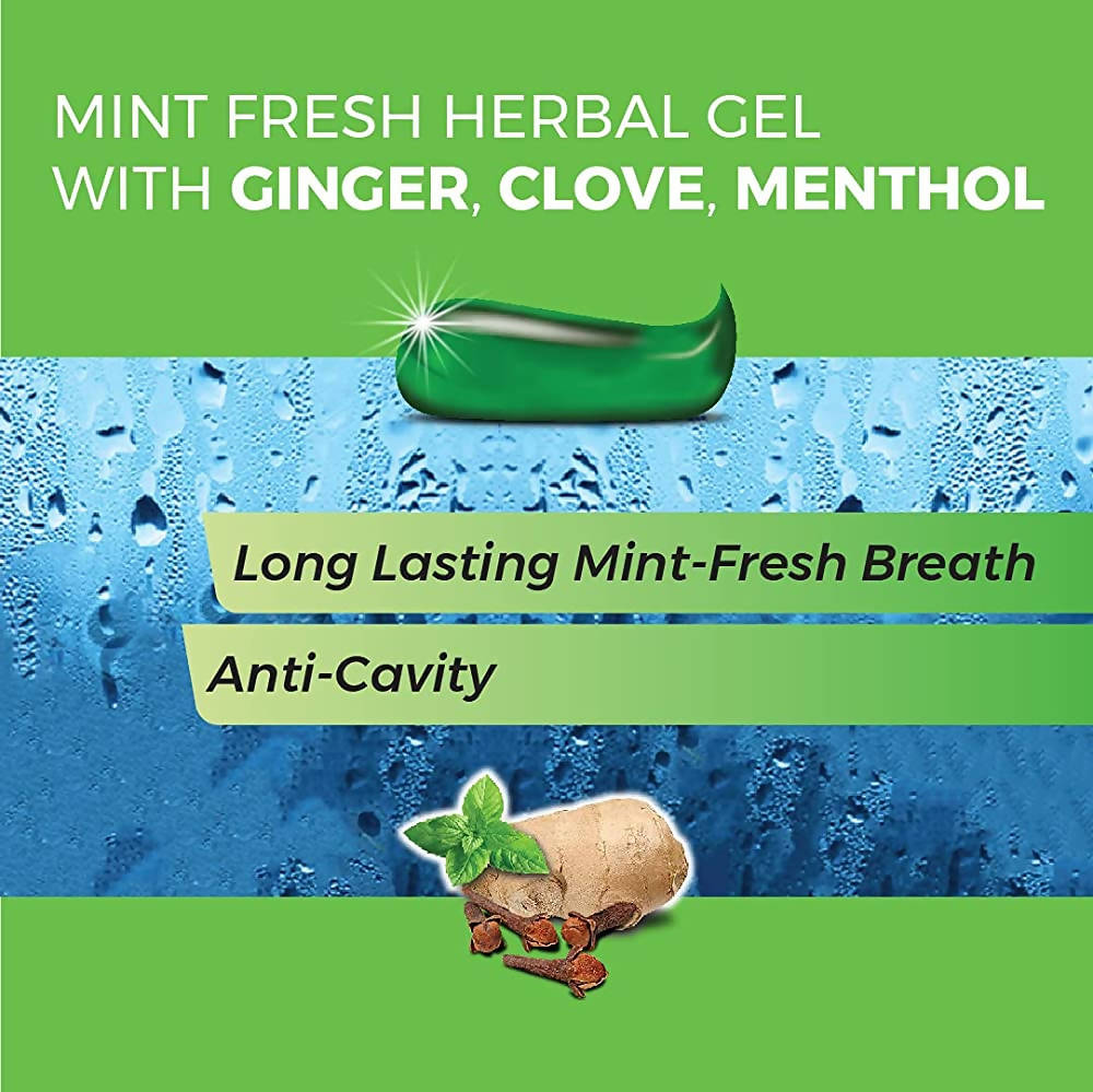 Kp Namboodiri's Herbal Gel Toothpaste - Grab2buy