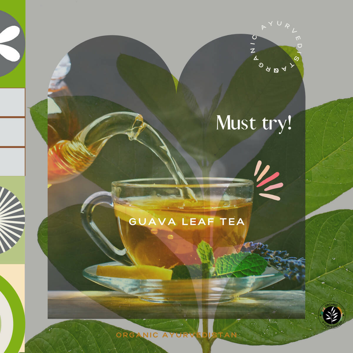 Organic Ayurvedistan Guava Leaves Powder 