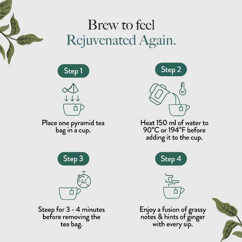 Wellbeing Nutrition Cleanse Herbal Tea  Grab2Buy Wellbeing Nutrition Grab2Buy