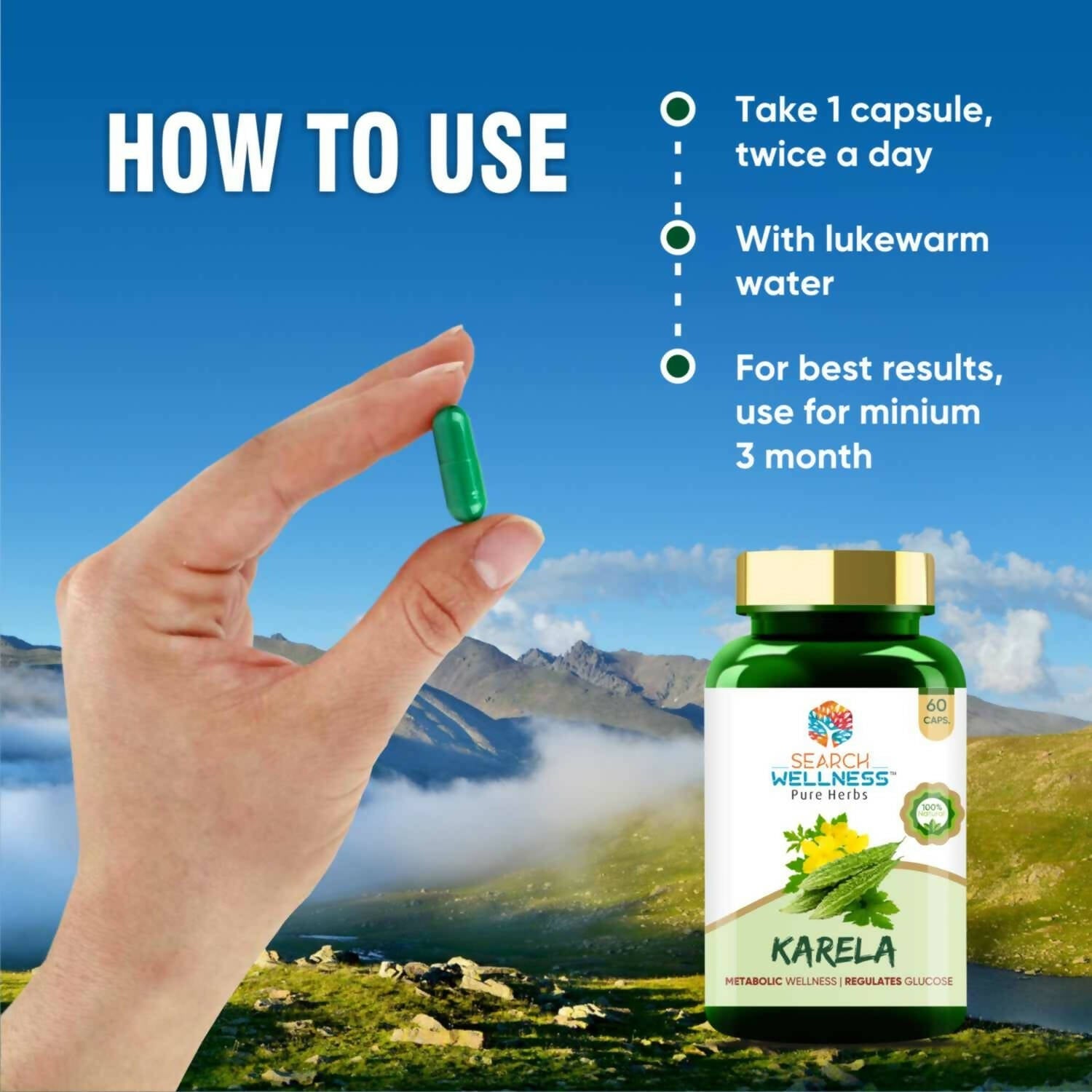 Search Wellness Karela Capsules - Grab2buy