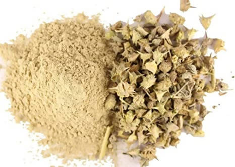 Hebsur Herbals Gokhru (Neglimul) Powder 