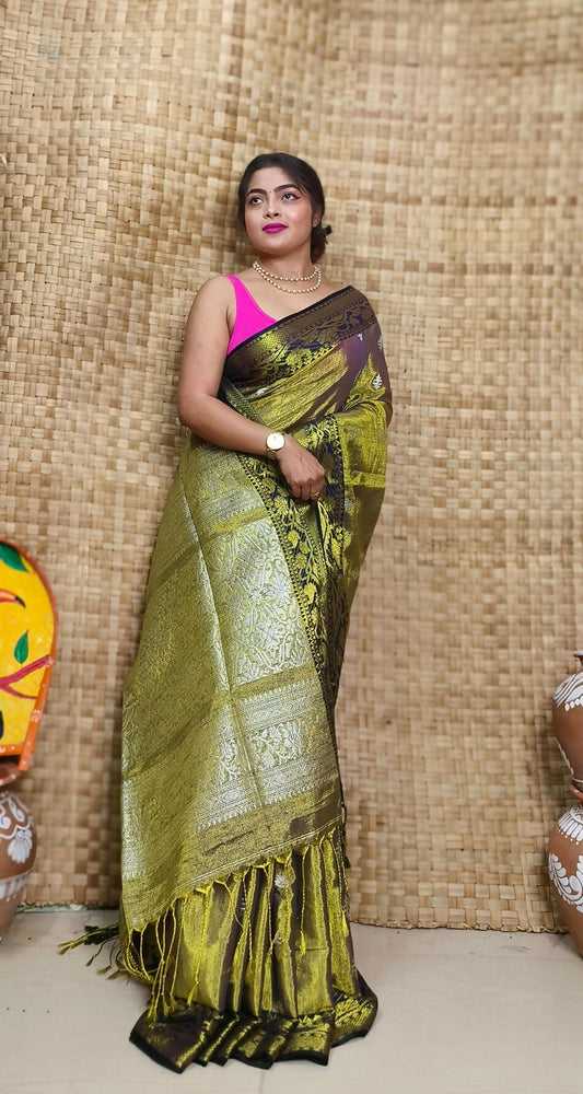 Exclusive Collection Pista Beautiful Tissue Benarasi Grab2Buy