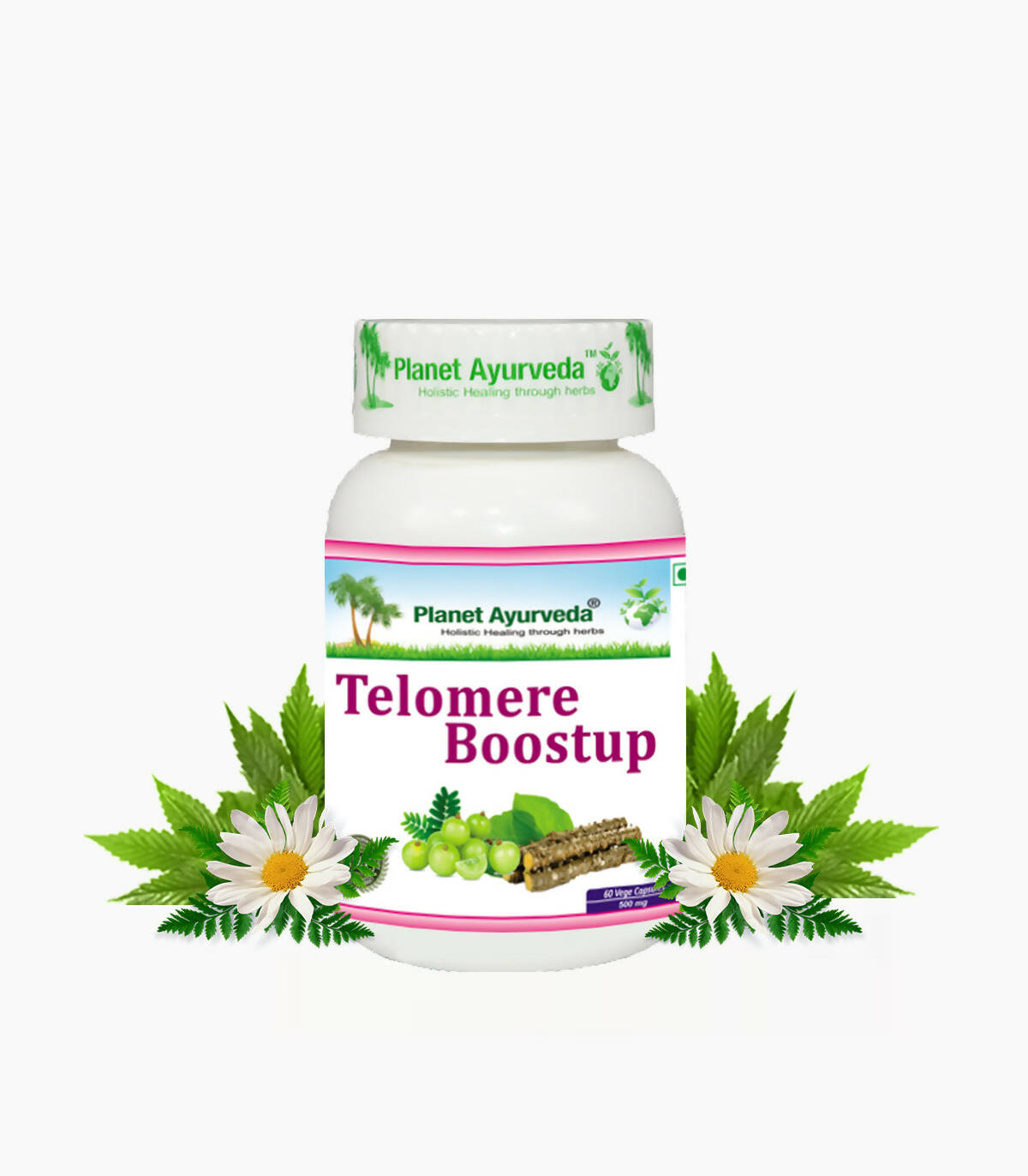 Planet Ayurveda Telomere Boostup Capsules - Grab2buy