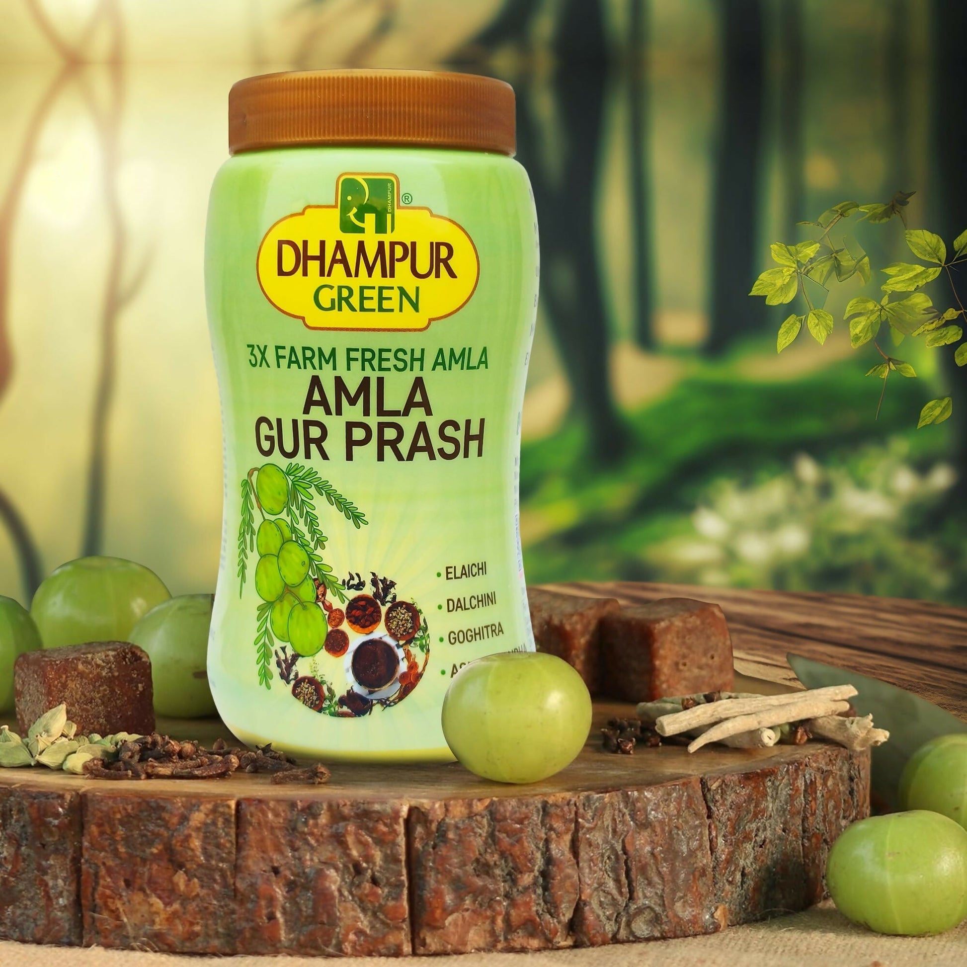 Dhampur Green Amla Gur Prash 