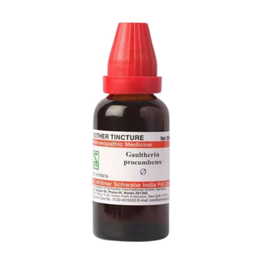 Dr. Willmar Schwabe India Gaultheria Procumbens Mother Tincture Q - Grab2buy
