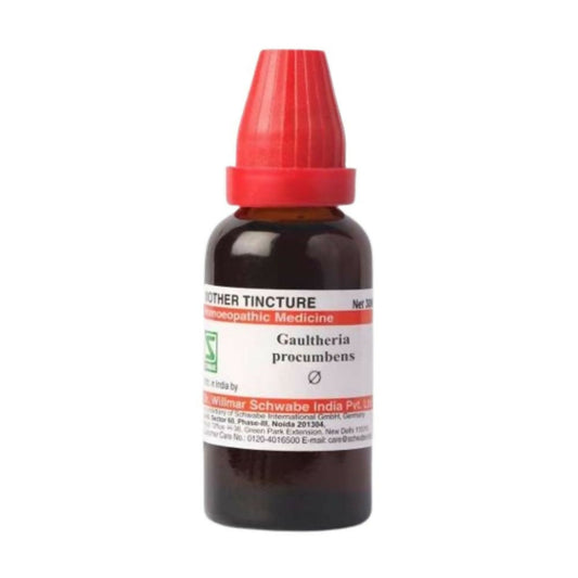 Dr. Willmar Schwabe India Gaultheria Procumbens Mother Tincture Q - Grab2buy