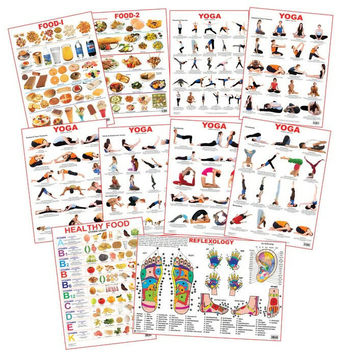 Dreamland Educational Charts - Combo 6 (10 Charts) : Children Early Learning Laminated Chart