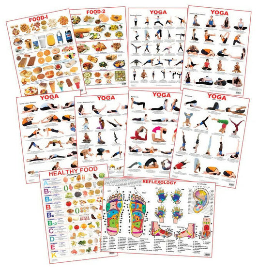 Dreamland Educational Charts - Combo 6 (10 Charts) : Children Early Learning Laminated Chart