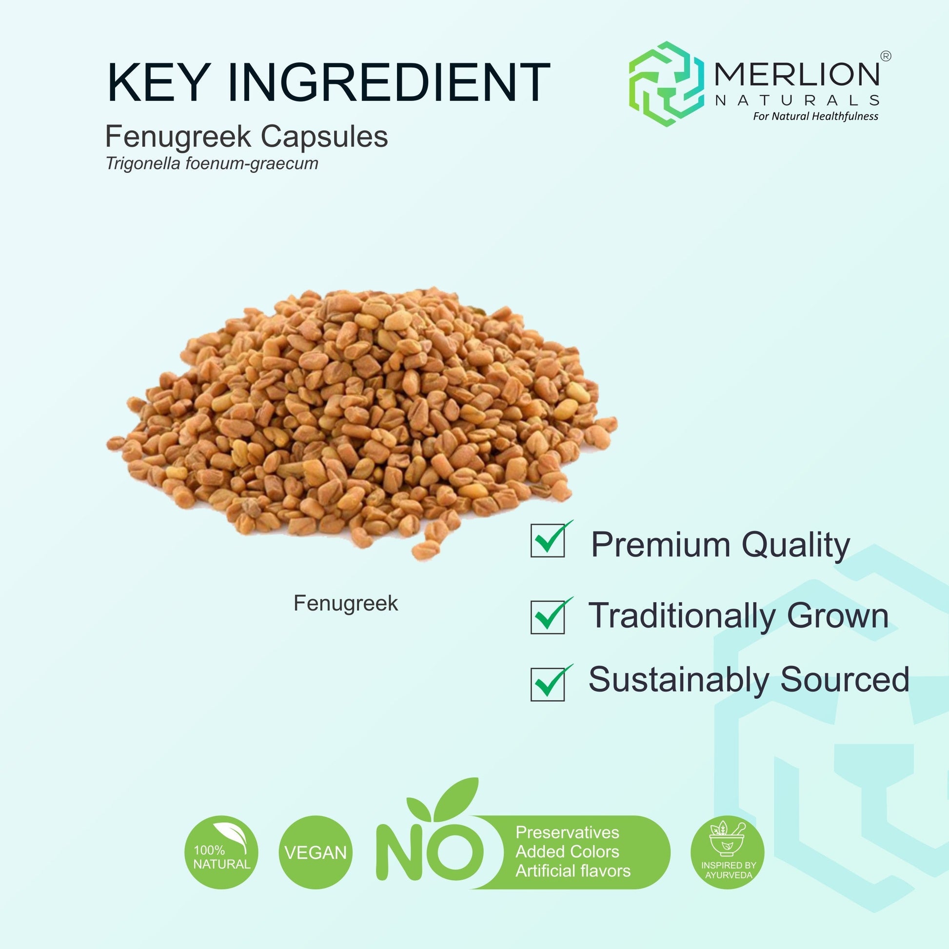 Merlion Naturals Fenugreek 500mg Tablets 