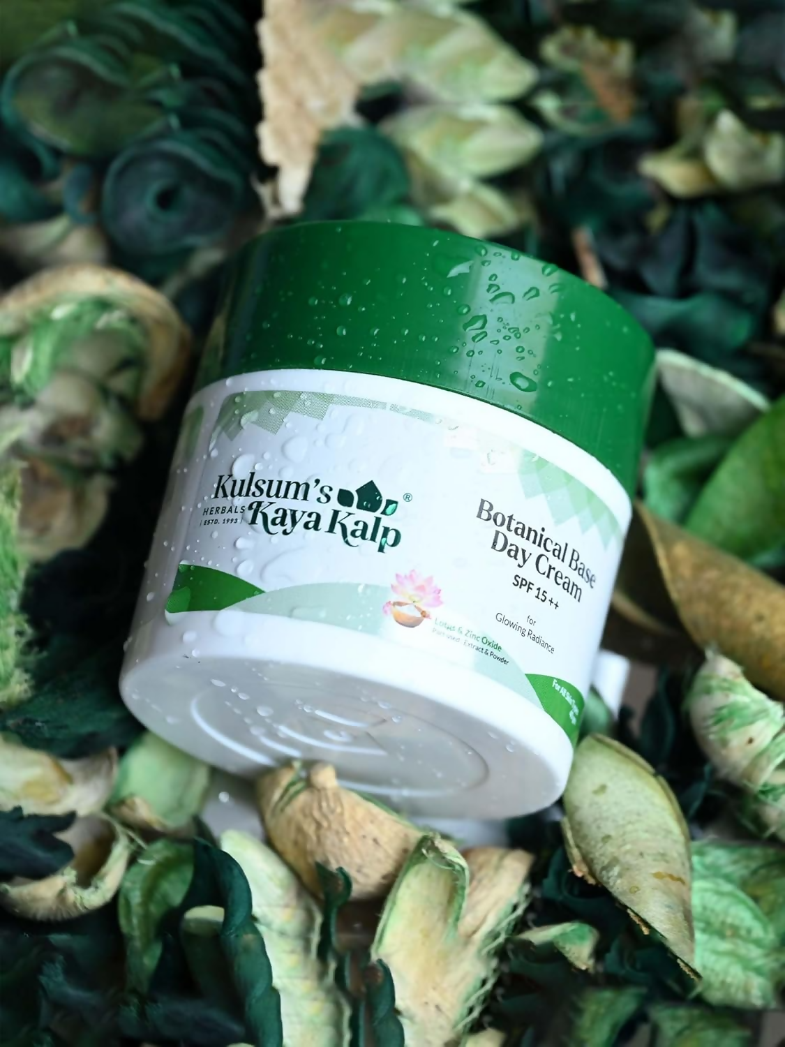 download - 2024-09-25T135103.823