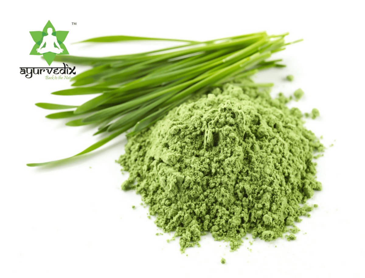 Ayurvedix Organic Wheatgrass Powder 